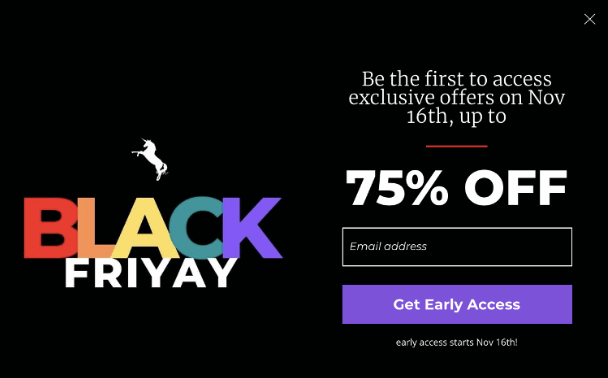 Black Friday email capture example