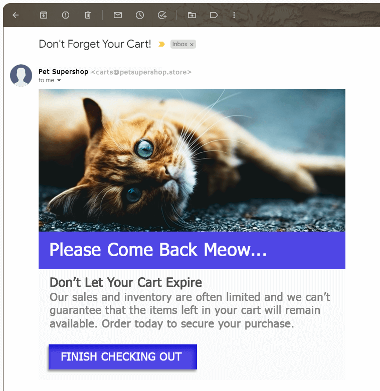 Send Cart Recovery Emails
