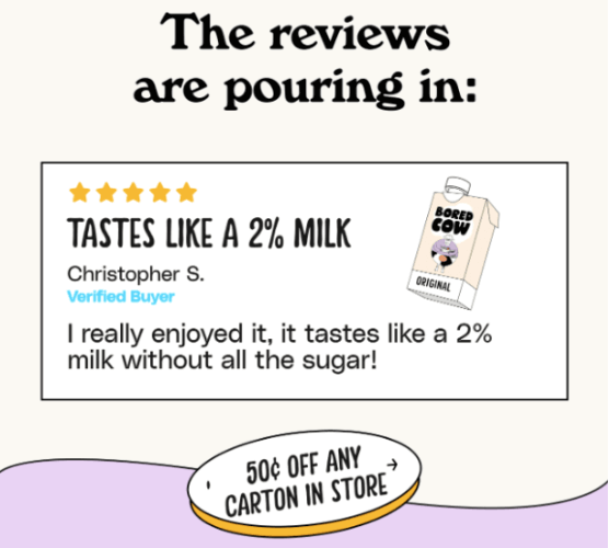 Reviews in newsletters example