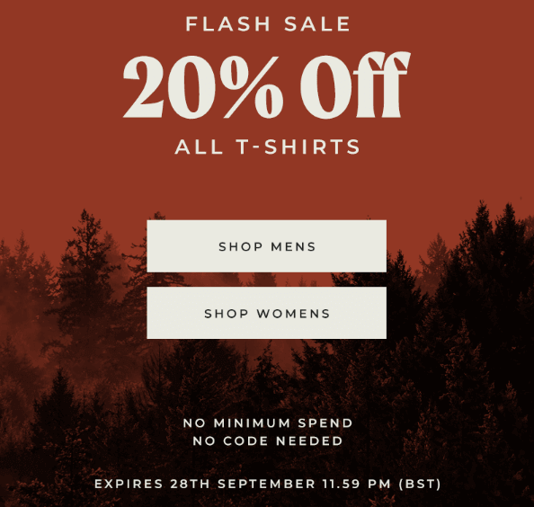 Flash sale email example