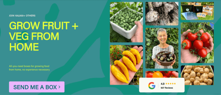 Pot Gang Proposition