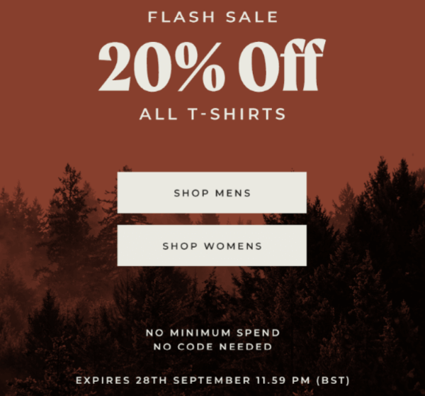 P&CO flash sale email example.